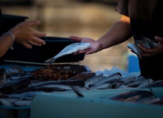 Jak sprzedawać swoje teksty? Jak sprzedawać swoje teksty?