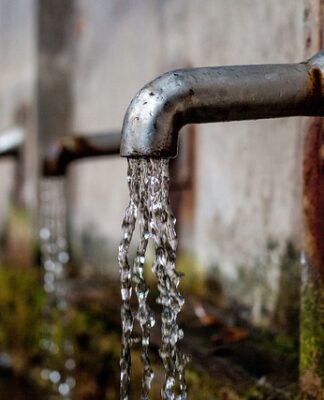 Co to znaczy wyłączny dystrybutor?