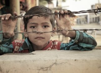 Jakie są największe bariery rozwoju cyfrowego w instytucji kultury? Jakie są największe bariery rozwoju cyfrowego w instytucji kultury?