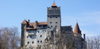 W jakiej branży warto się rozwijać?