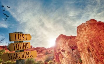 Co daje doskonalenie zawodowe?