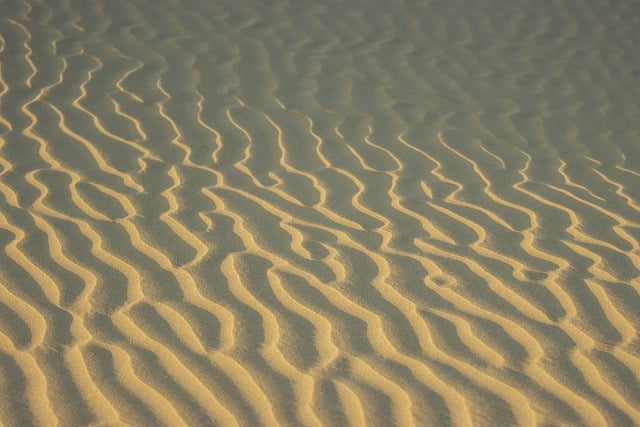 W jaki sposób można podnieść jakość pracy szkoły? W jaki sposób można podnieść jakość pracy szkoły?