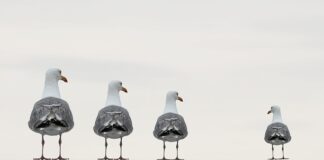 Co integruje zintegrowana komunikacja marketingowa?