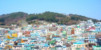 Na co dzielimy kulturę?