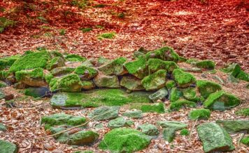 Co to ugrupowanie integracyjne?