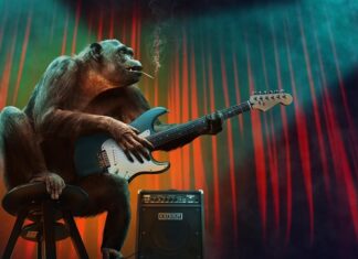 Co jest etapem początkowym procesu kontroli? Co jest etapem początkowym procesu kontroli?