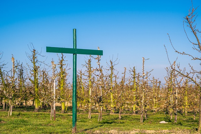 Czy regulamin pracy zdalnej jest obowiązkowy 2023? Czy regulamin pracy zdalnej jest obowiązkowy 2023?
