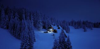 Jaki jest cel innowacji?