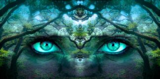 Co to jest świadomość kulturowa?