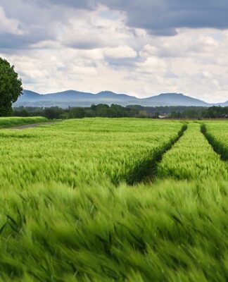 Co to są wartości kulturowe?