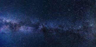 Czy darmowy antywirus ma sens?