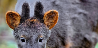 Jakie są zagrożenia fizyczne dla systemów informatycznych?