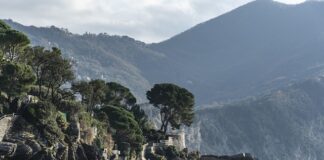 Ile kosztuje wytworzenie oprogramowania?