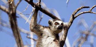 Jaki jest związek kultury i zachowania?